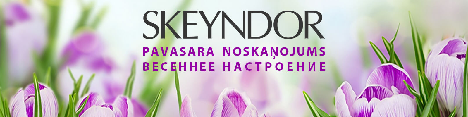 Skeyndor | Seminārs | Pavasara noskaņojums